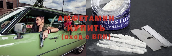 прущие грибы Аркадак