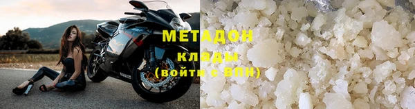 прущие грибы Аркадак