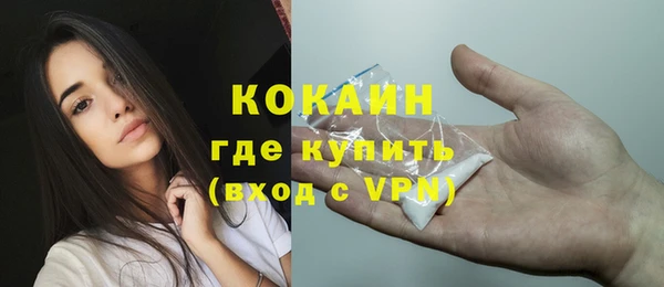 прущие грибы Аркадак