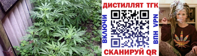 Дистиллят ТГК Wax  Белово 