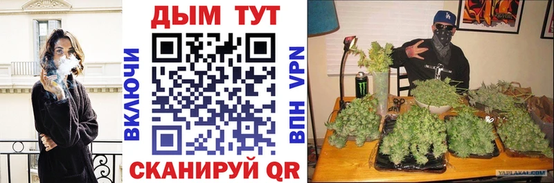 Конопля OG Kush  Белово 